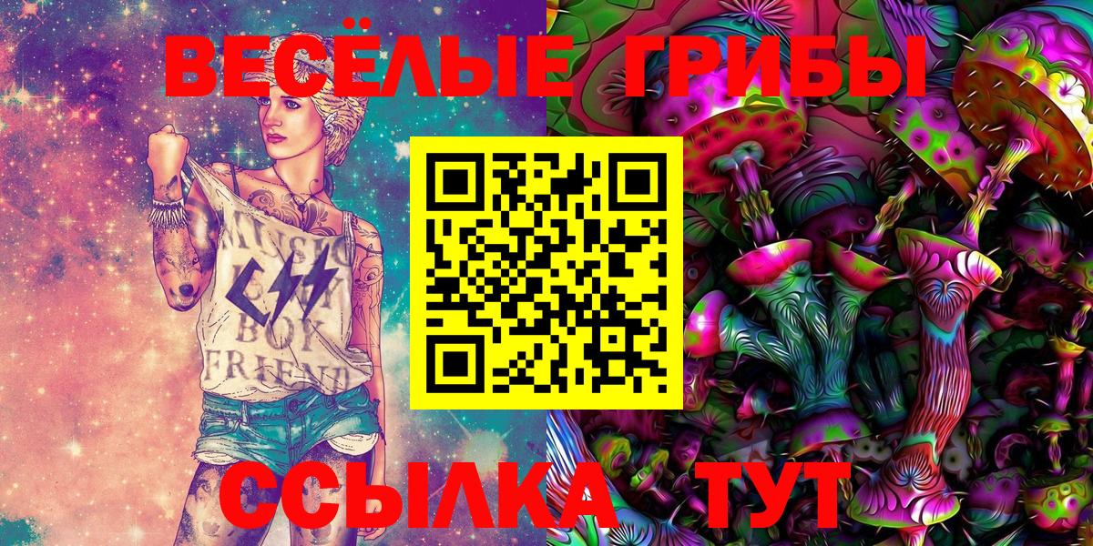 Псилоцибиновые грибы Psilocybe  Вход с VPN  Галлюциногенные грибы прущие грибы  Александров 